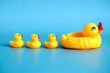 rubber duck with ducklings on a blue background.