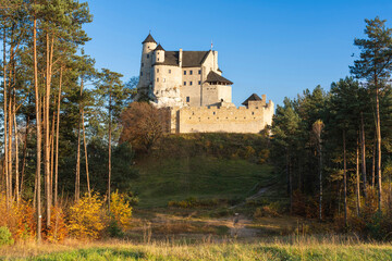 Wall Mural - Zamek Bobolice