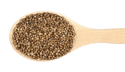 Wall Mural - Coriander seeds in wooden spoon isolated on white, top view 