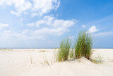 Fototapeta  - Dune beach with beach grass in summer