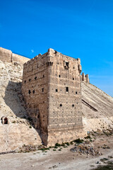 Wall Mural - Citadel Aleppo Syria