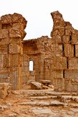 Wall Mural - Rasafa ruins Syria