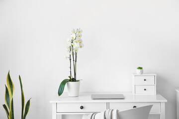 Workplace with modern laptop and beautiful orchid flower near white wall