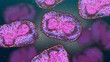 canvas print picture - Monkeypox viruses, infectious zoonotic disease 