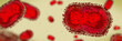 canvas print picture Monkeypox virus, one of the human orthopoxviruses, background banner format   