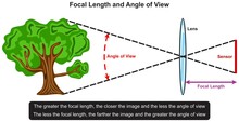 Focal Length And Angle Of View Infographic Diagram Relationship Example Tree In Front Of Lens Sensor Photography Physics Mechanic Dynamics Science Education Vector Chart Illustration Scheme