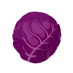 Wall Mural - Red cabbage, flat style vector illustration isolated on white background