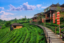 Old Chinese Style House In Tea Plantation At Ban Rak Thai The Village Is Surrounded By Mountain In Mae Hong Son, Thailand.