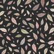 Background with colorful feathers or leaves. Pastel colors on a dark background.