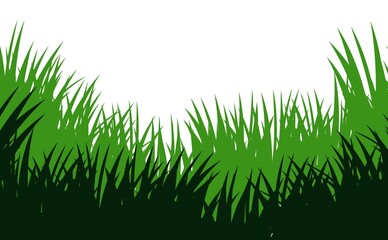 Wall Mural - Grass. Nature rural landscape. Pasture overgrown. Overgrown dense lawn. Isolated on white background. Vector