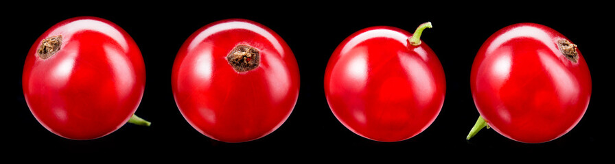 Red currant isolated. Currant red on black background. Currant berry on black. Full depth of field.