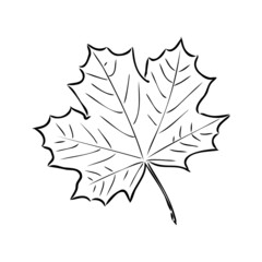 fall leaf clipart, black and white leaf drawing, vector clipart
