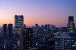 Tokyo Shinjyuku and Roppongi area panoramic view at magic hour time.	

