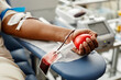 canvas print picture Closeup of black woman donating blood focus on hand holding red ball with tubing, copy space