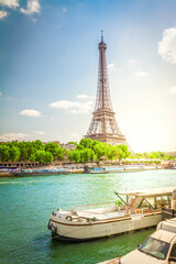 Wall Mural - eiffel tower over seine river