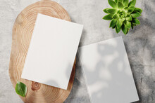 Clean Minimal Book 4x6 Mockup On Cement With Plant And Leaf