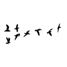 Set Of Seagulls Birds, Nautical Sailor Tattoo Sketch. Black Stroke Of Flying Sea Gull Silhouettes On White Background. Marine Set. Drawings Of Different Shapes Of Water Birds In The Flock. Vector.