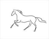 Fototapeta Konie - Line drawing of horse wildlife vector illustration