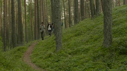 group of people hiking in a forest