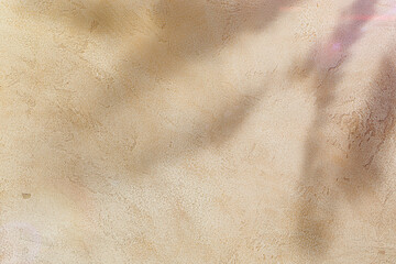Wall Mural - Light shadow of tropical leaves on wall. Abstract background with concrete texture