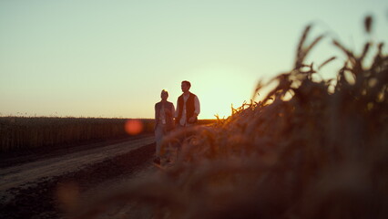 Wall Mural - Agronomists walking wheat field in sunset together. Farm owners inspect crop.