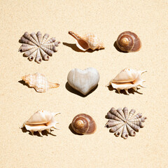 Wall Mural - Neatly arranged pattern made of sea shells   in the beach sand. Minimal flat lay. Summer vacation background.