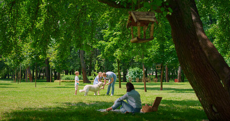 Wall Mural - Young family have active leisure with dog outdoors. Happy picnic in green park. 