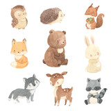 Fototapeta Fototapety na ścianę do pokoju dziecięcego - Watercolor woodland animals. Bear, fox, bunny, raccoon, illustration for kids