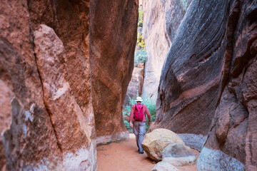 Wall Mural - Bisti