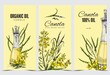 Canola oil labels collection in vintage style hand drawn vector illustration.