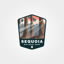 Sequoia National Park Vector Patch Design, Giant Tree Logo Design