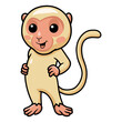 Cute little albino monkey cartoon standing