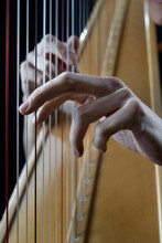 Hands Of Mature Musician Playing Harp