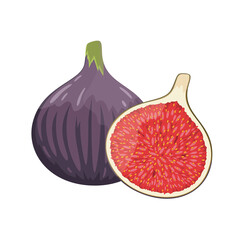 Wall Mural - Purple figs whole and cut, flat style vector illustration isolated on white background