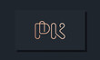 Minimal clip initial letter PK logo