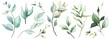 © satika - Watercolor floral set of green leaves, branches, twigs etc. Vector traced isolated greenery illustration.