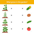 Matching children educational game. What grows in the garden Activity for preschool years kids and toddlers.