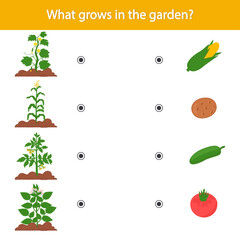 Poster - Matching children educational game. What grows in the garden Activity for preschool years kids and toddlers.