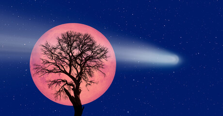 Aufkleber - Beautiful view of lonely trees and a comet in the sky with a full moon in the background 