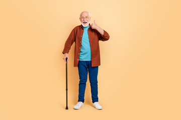 Canvas Print - Full length image of happy pensioner go on walk recommend you active healthy lifestyle isolated on beige color background