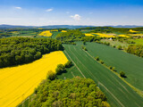 Fototapeta Mapy - Aerial view of yellow rape fields in spring, Poland