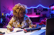 © AnnaStills - Horizontal medium portrait of stylish young African American woman sitting at desk at home composing song using synthesizer and laptop