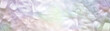 Beautiful pastel coloured angelic Feather background banner - wide symmetrical pattern of pale coloured small fluffy feathers ideal for a spiritual holistic Angel theme advert coupon invite or website