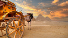 Characteristic Small Chariot On The Background Of The Pyramids, Egypt