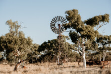 An Old Farm Windmill