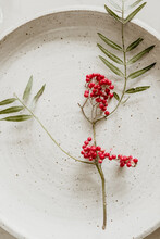 A sprig of pink peppercorn on a plate.