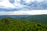 Fototapeta Na ścianę - Top down aerial view of carpathian mountains covered with trees colored into spring colors The gorgeous fresh colors of spring foliage