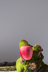 Una deliciosa manzana roja sobre troncos de árbol con musgo y fondo gris