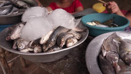 Wall Mural - Panning of fish in metal pots being sold in a market in Leon, Nicaragua. trade in Latin America.