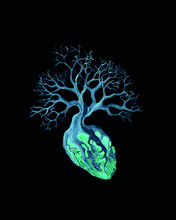 Inverted Nature Vector Illustration. Symbolic Representation Of The Heart Of Nature. Anatomical Human Heart From Which The Tree Grows.